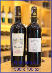 Cabernet - Sauvignon 